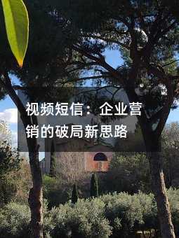 视频短信:企业营销的破局新思路