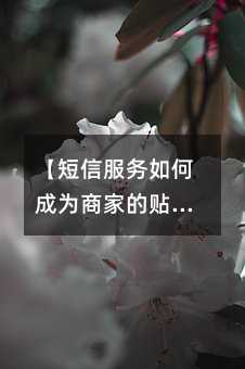 【短信服务如何成为商家的贴心小助手?】