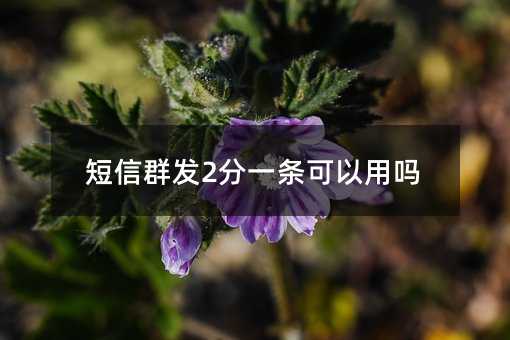 短信群发2分一条可以用吗