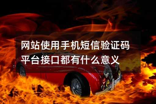 网站使用手机短信验证码平台接口都有什么意义