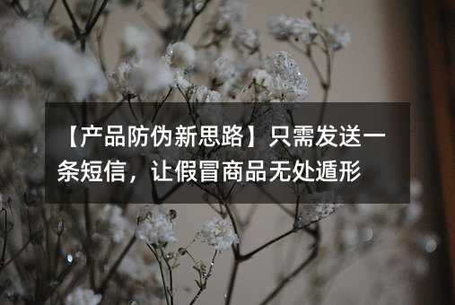 Ʒα˼·ֻ跢һţüðƷ޴