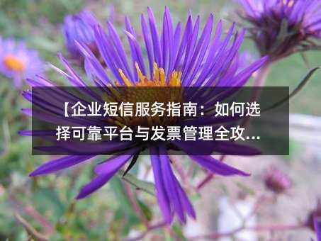 【企业短信服务指南:如何选择可靠平台与发票管理全攻略】