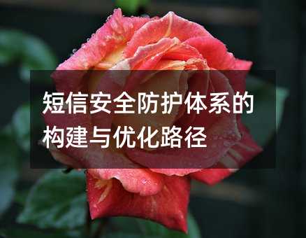 短信安全防护体系的构建与优化路径