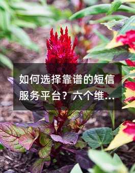 ѡ׵Ķŷƽ̨άȰ㾫׼ж