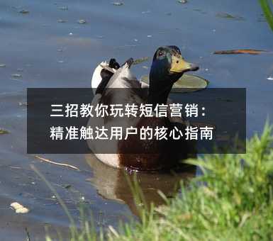 三招教你玩转短信营销:精准触达用户的核心指南
