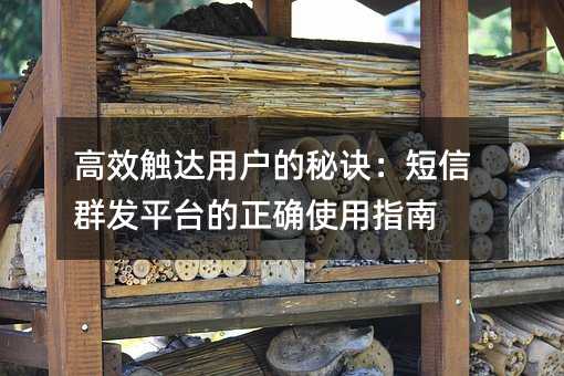 高效触达用户的秘诀:短信群发平台的正确使用指南