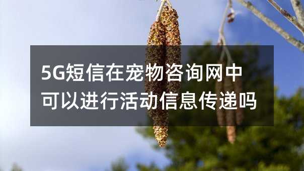5G短信在宠物咨询网中可以进行活动信息传递吗