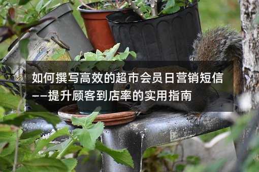 如何撰写高效的超市会员日营销短信——提升顾客到店率的实用指南