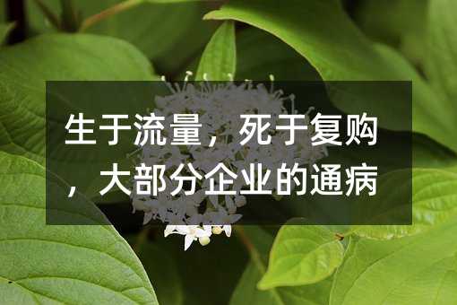 生于流量,死于复购,大部分企业的通病