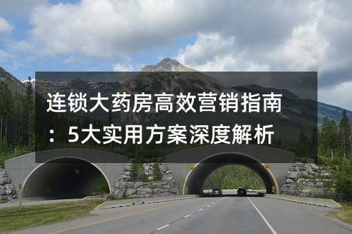 连锁大药房高效营销指南:5大实用方案深度解析