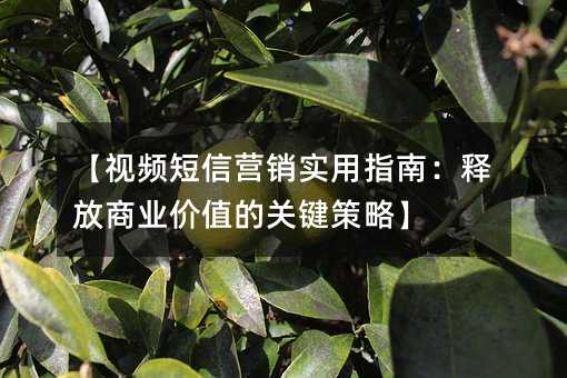 【视频短信营销实用指南:释放商业价值的关键策略】