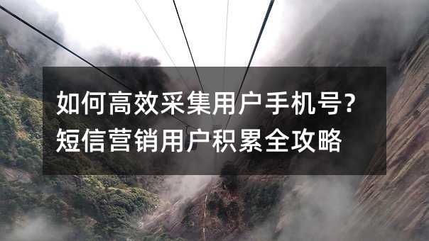 如何高效采集用户手机号?短信营销用户积累全攻略