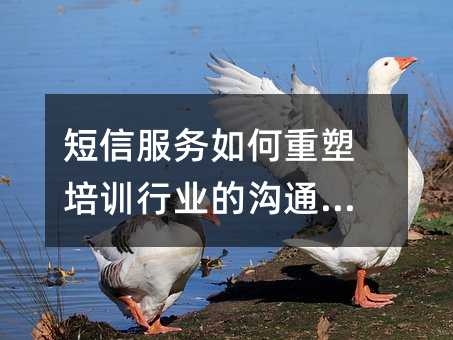 短信服务如何重塑培训行业的沟通体验