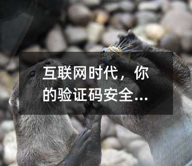 互联网时代,你的验证码安全指南