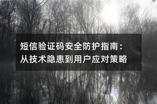 短信验证码安全防护指南:从技术隐患到用户应对策略