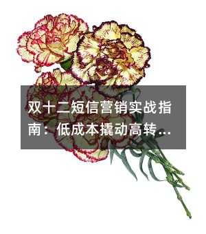 双十二短信营销实战指南:低成本撬动高转化的三大法则