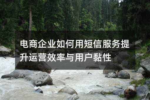 电商企业如何用短信服务提升运营效率与用户黏性