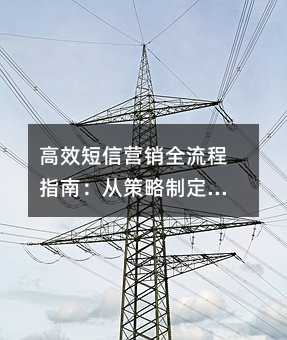 高效短信营销全流程指南:从策略制定到效果提升