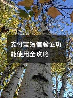 ֧����������֤����ʹ��ȫ����