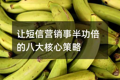 让短信营销事半功倍的八大核心策略