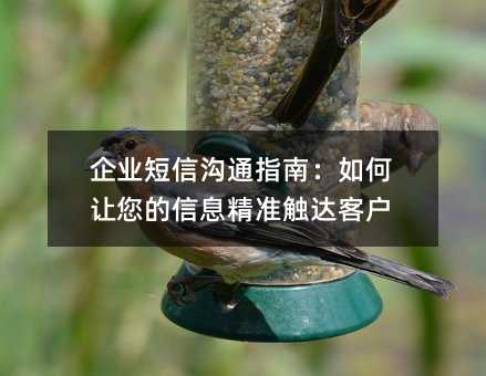 企业短信沟通指南:如何让您的信息精准触达客户
