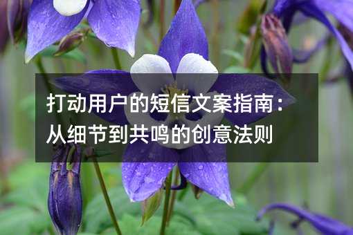 ���û��Ķ����İ�ָ�ϣ���ϸ�ڵ������Ĵ��ⷨ��