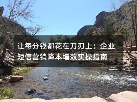 让每分钱都花在刀刃上:企业短信营销降本增效实操指南