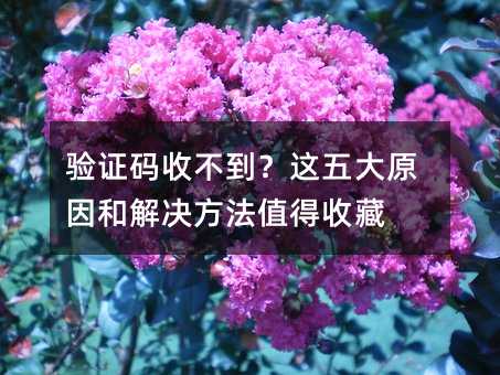 验证码收不到?这五大原因和解决方法值得收藏