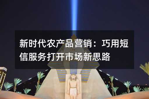 ��ʱ��ũ��ƷӪ�������ö��ŷ�����г���˼·