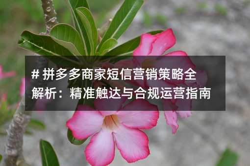 # ƴ����̼Ҷ���Ӫ������ȫ��������׼������Ϲ���Ӫָ��