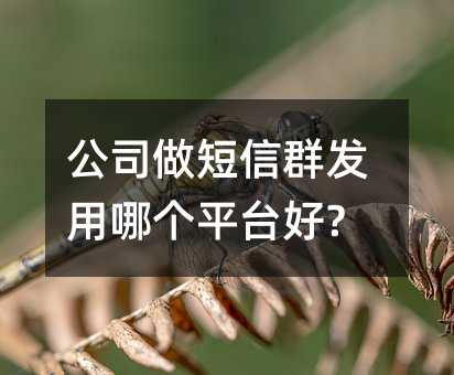 公司做短信群发用哪个平台好?