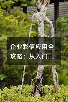 企业彩信应用全攻略:从入门到高效使用