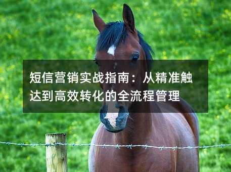 ����Ӫ��ʵսָ�ϣ��Ӿ�׼���ﵽ��Чת����ȫ���̹���