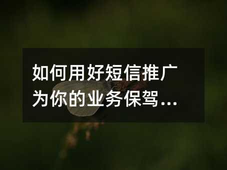 如何用好短信推广为你的业务保驾护航