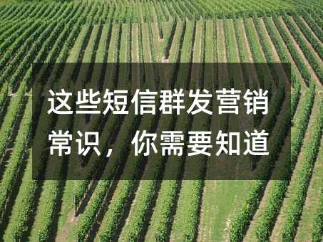 这些短信群发营销常识,你需要知道