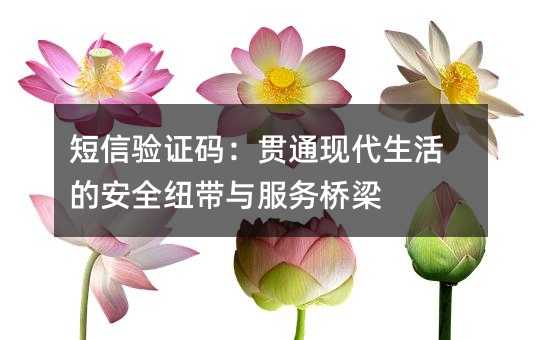 ������֤�룺��ͨ�ִ�����İ�ȫŦ�����������