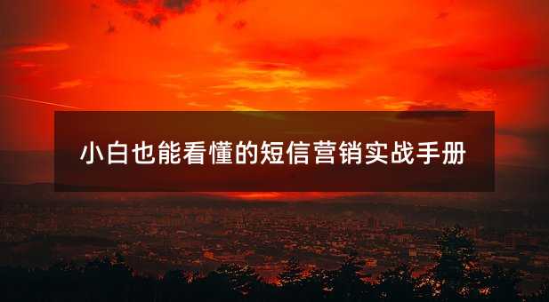 С��Ҳ�ܿ����Ķ���Ӫ��ʵս�ֲ�