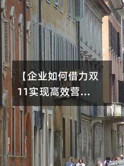 ����ҵ��ν���˫11ʵ�ָ�ЧӪ�������ŷ���ƽ̨ʵ��ָ�ϡ�