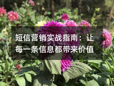 ����Ӫ��ʵսָ�ϣ���ÿһ����Ϣ��������ֵ