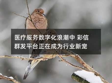 ҽ�Ʒ������ֻ��˳��� ����Ⱥ��ƽ̨���ڳ�Ϊ��ҵ�³�