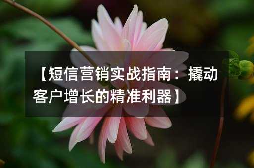 ������Ӫ��ʵսָ�ϣ��˶��ͻ������ľ�׼������