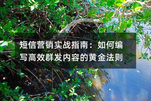 ����Ӫ��ʵսָ�ϣ���α�д��ЧȺ�����ݵĻƽ���