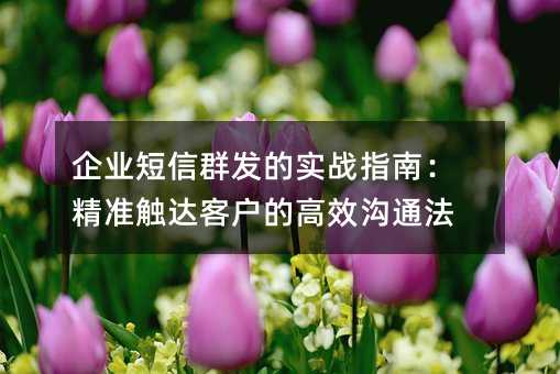 企业短信群发的实战指南:精准触达客户的高效沟通法