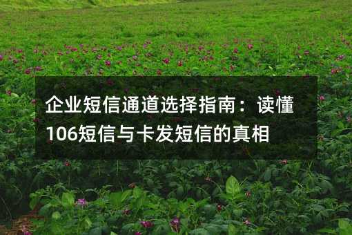 ��ҵ����ͨ��ѡ��ָ�ϣ�����106�����뿨�����ŵ�����