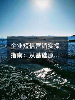 ��ҵ����Ӫ��ʵ��ָ�ϣ��ӻ���ԭ����ʵս����