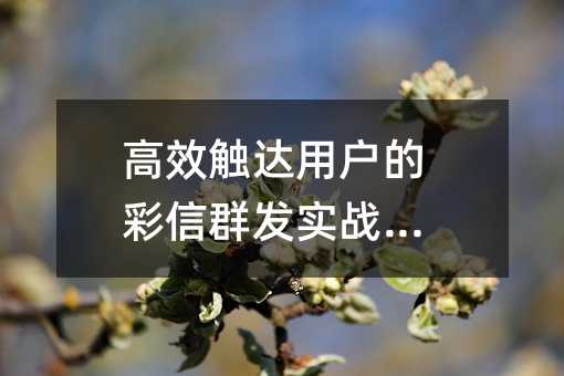 ��Ч�����û��Ĳ���Ⱥ��ʵսָ��