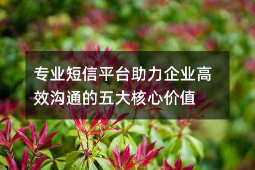 专业短信平台助力企业高效沟通的五大核心价值