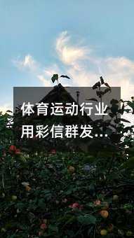 �����˶���ҵ�ò���Ⱥ��������Ӫ��Ч������