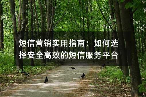 短信营销实用指南:如何选择安全高效的短信服务平台