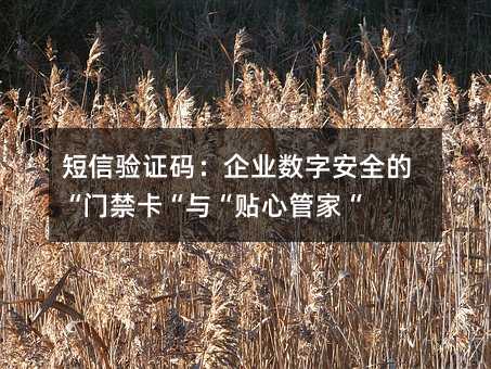 ������֤�룺��ҵ���ְ�ȫ�ġ��Ž������롰���Ĺܼҡ�